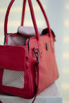 Red: Popocatépetl’ gift