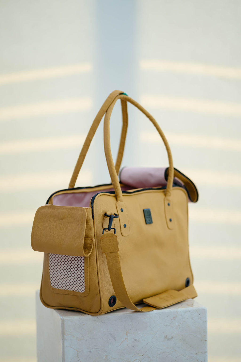 Mustard: Izamal gold