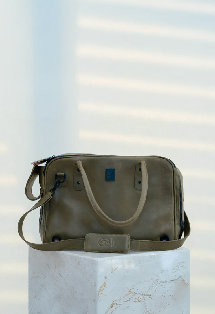 Olive: Tamaulipas